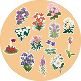 Wildflowers of Canada Sticker Sheet