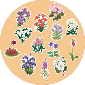 Wildflowers of Canada Sticker Sheet