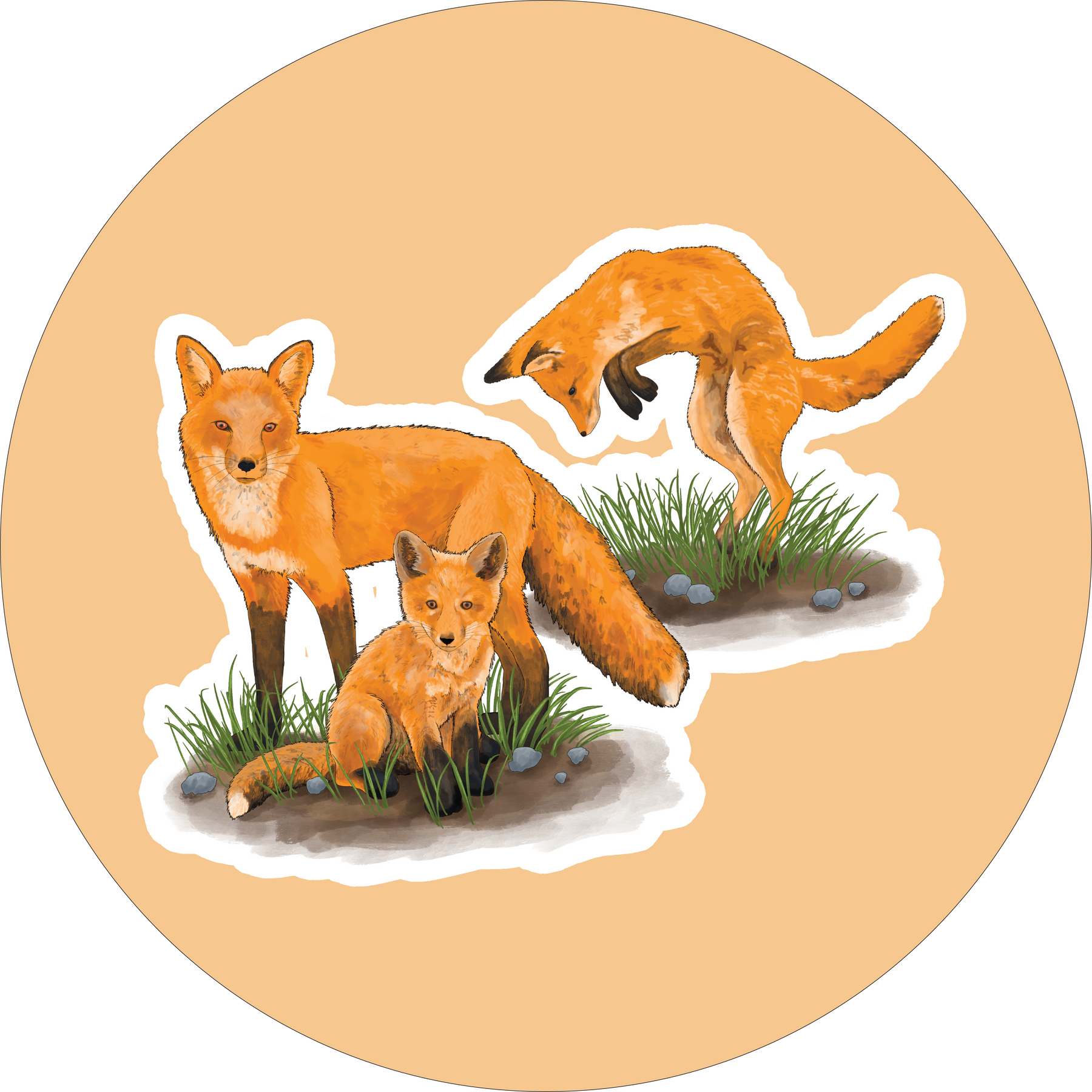 Foxes Stickers