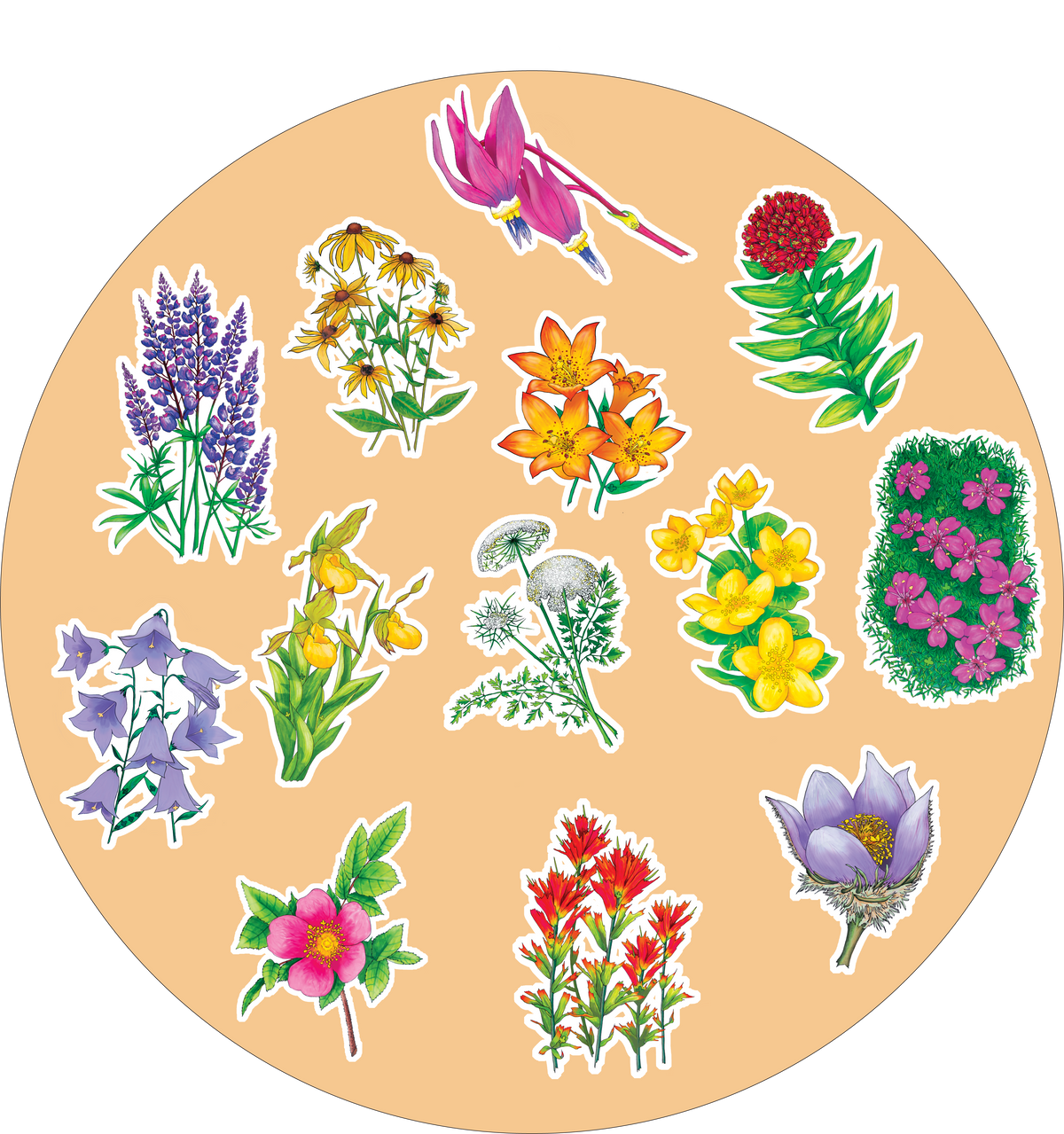 Wildflowers of the Rockies Sticker Sheet