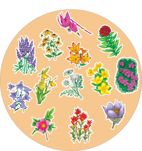 Wildflowers of the Rockies Sticker Sheet