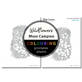 Wildflower: Moss Campion Colouring Sheets ⌲ Printable