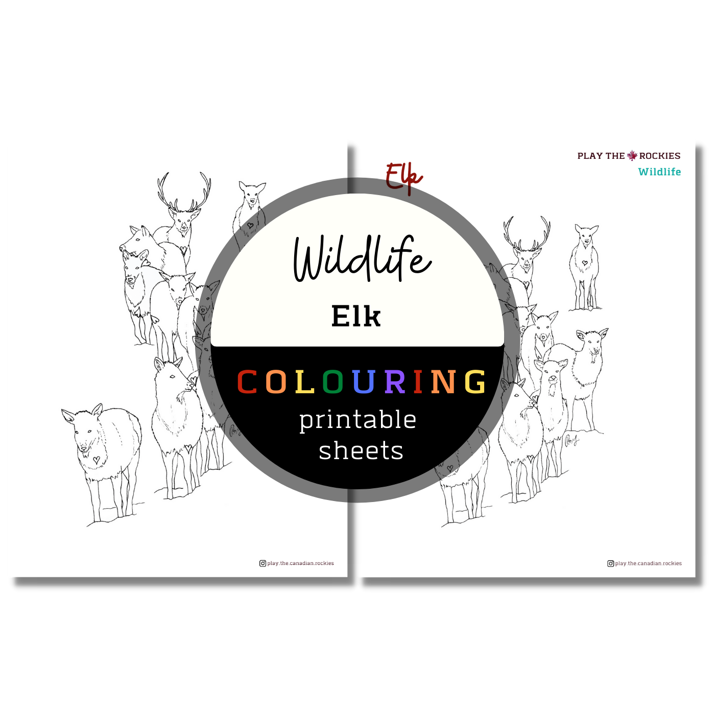 Wildlife: Elk Colouring Sheets ⌲ Printable