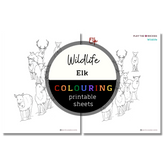 Wildlife: Elk Colouring Sheets ⌲ Printable