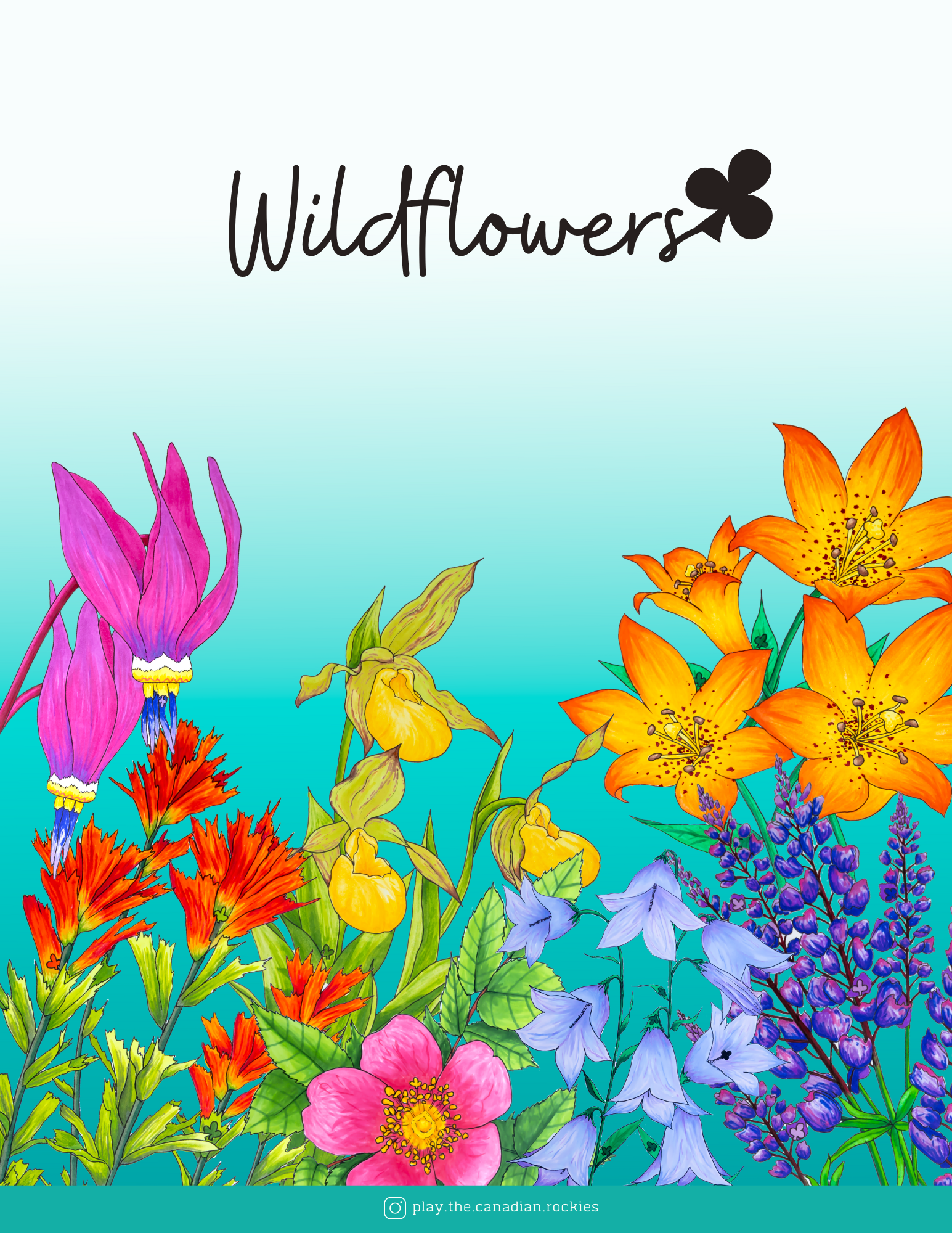 E-book of all: 54 Information Sheets • Mountains • Wildlife • Activities • Wildflowers