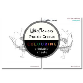 Set of 13 Wildflower Colouring Sheets ⌲ Printable