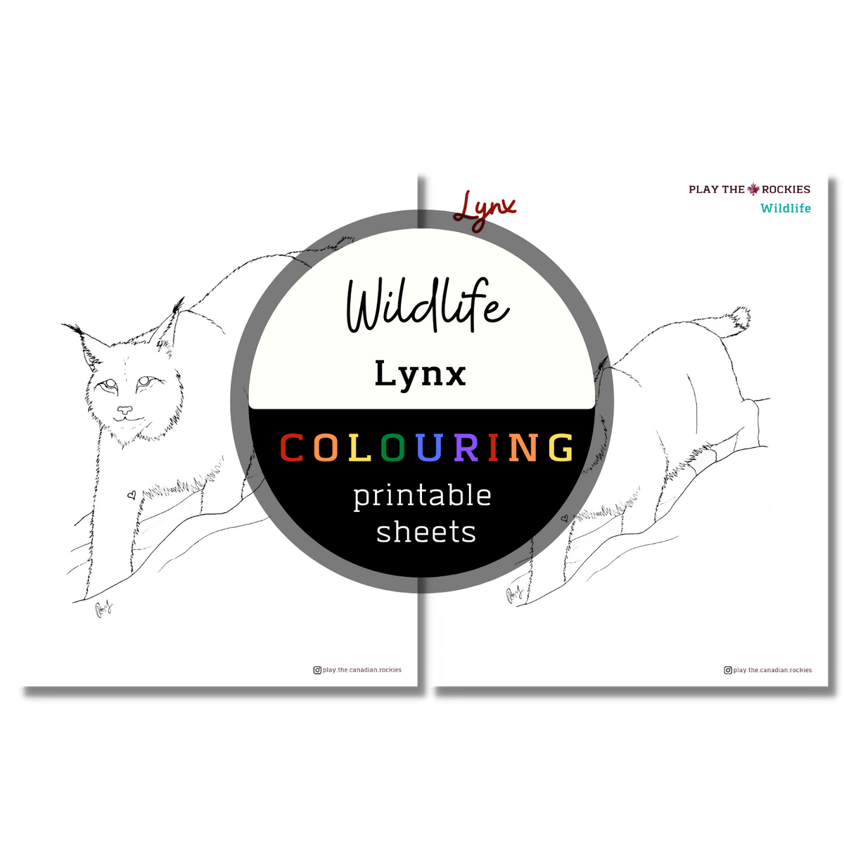 Wildlife: Lynx Colouring Sheets ⌲ Printable