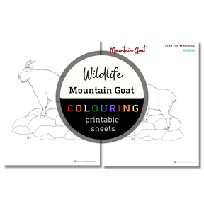 Set of 15 Wildlife Colouring Sheets ⌲ Printable