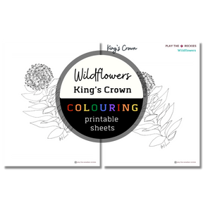 Set of 13 Wildflower Colouring Sheets ⌲ Printable