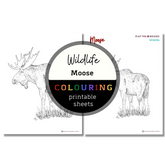 Wildlife: Moose Colouring Sheets ⌲ Printable