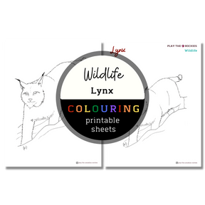 Set of 15 Wildlife Colouring Sheets ⌲ Printable