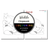 Wildlife: Chipmunk Colouring Sheets ⌲ Printable