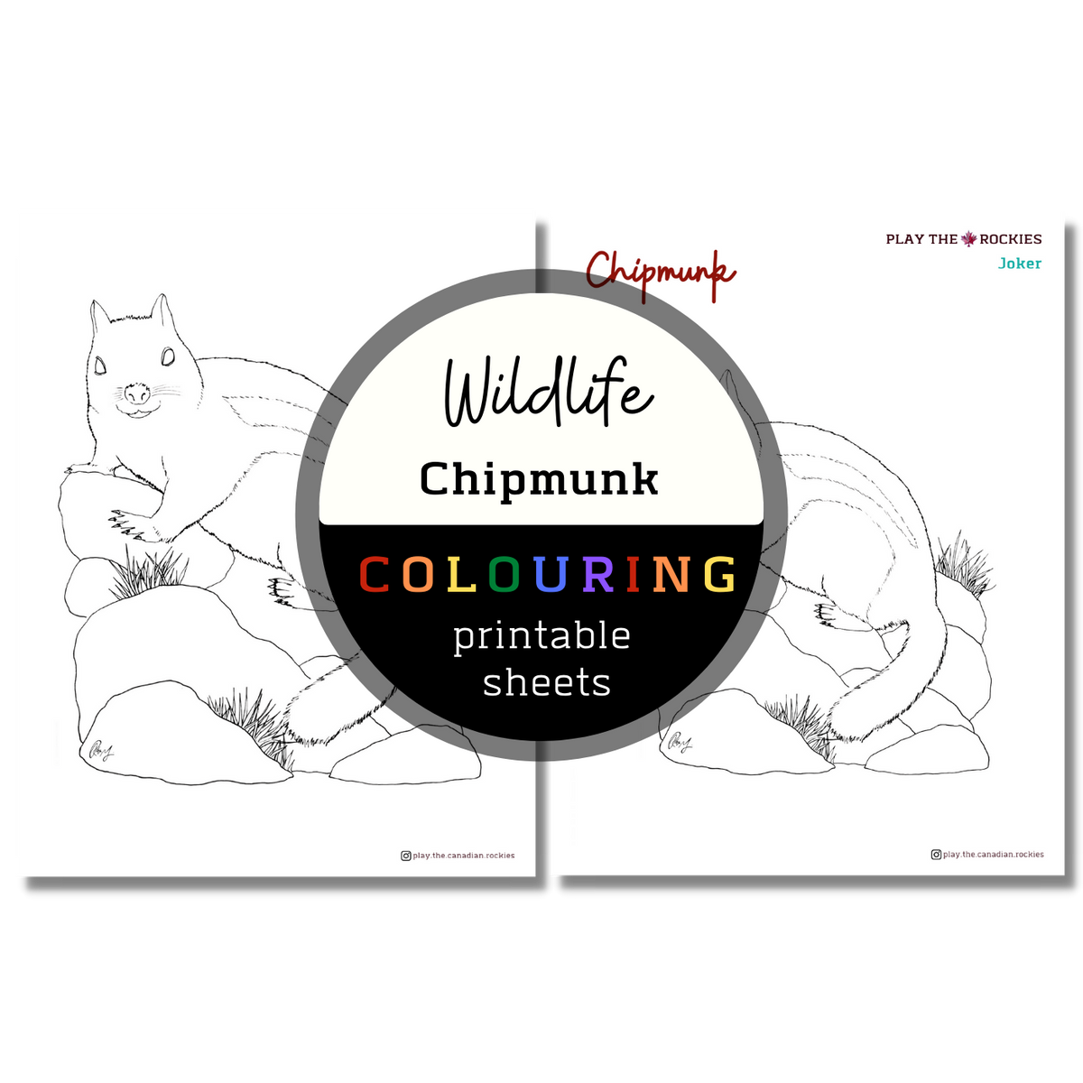 Set of 15 Wildlife Colouring Sheets ⌲ Printable