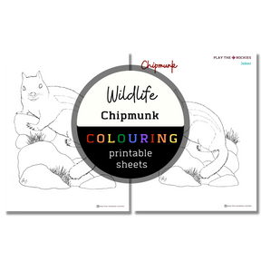 Set of 15 Wildlife Colouring Sheets ⌲ Printable