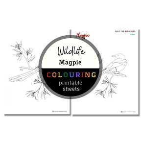 Set of 15 Wildlife Colouring Sheets ⌲ Printable