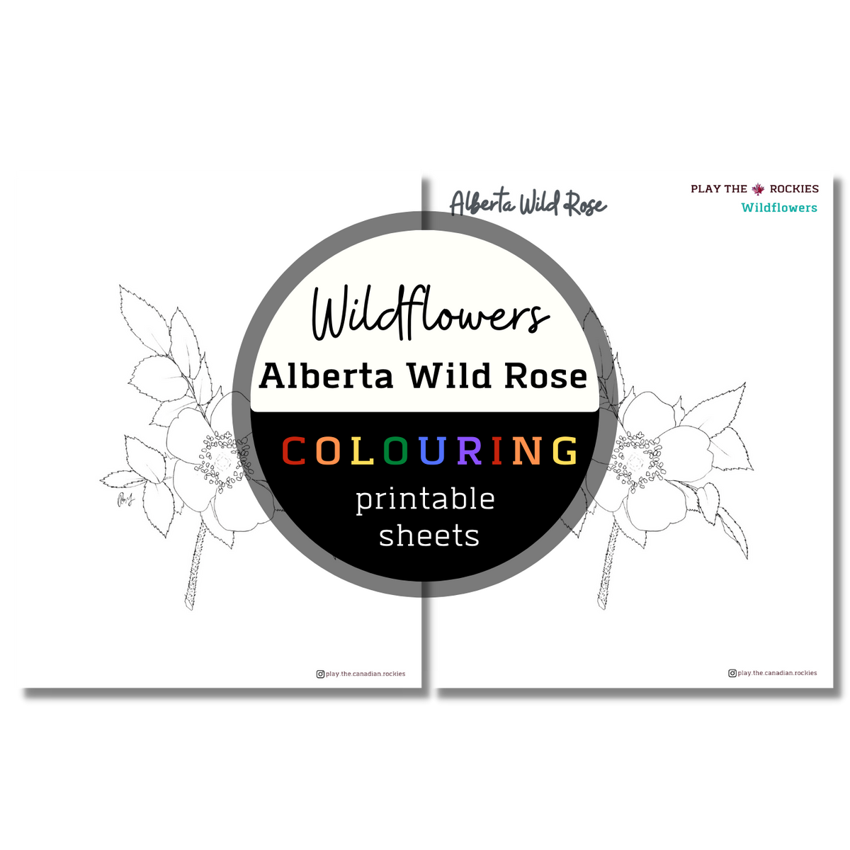 Set of 13 Wildflower Colouring Sheets ⌲ Printable