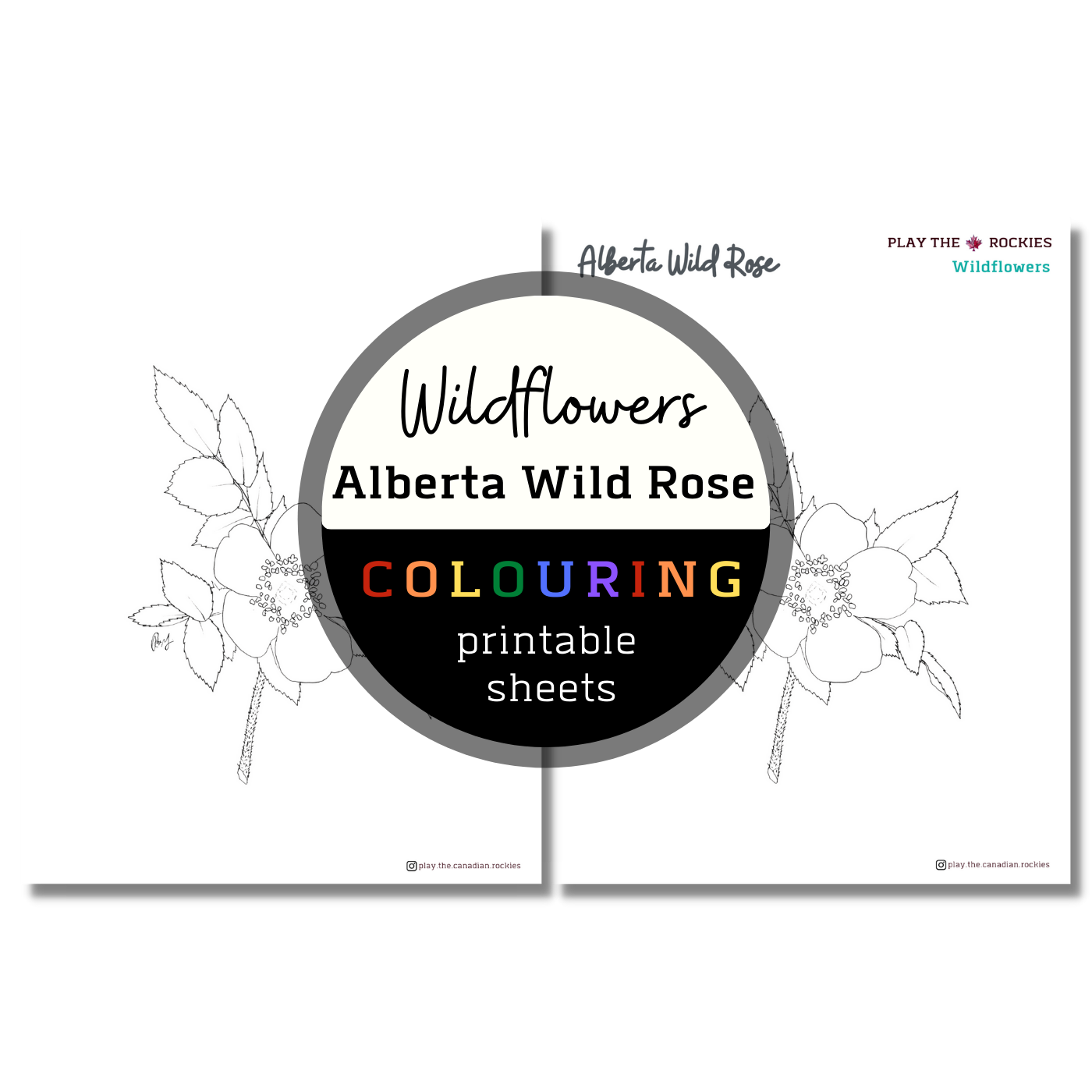Set of 13 Wildflower Colouring Sheets ⌲ Printable