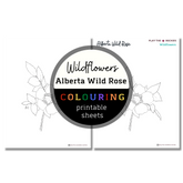 Wildflower: Alberta Wild Rose Colouring Sheets ⌲ Printable