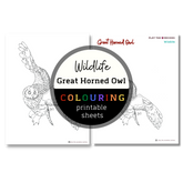 Wildlife: Great Horned Owl Colouring Sheets ⌲ Printable