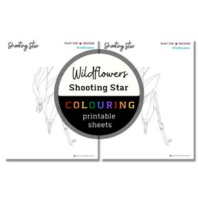 Set of 13 Wildflower Colouring Sheets ⌲ Printable