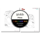 Wildlife: Pikas Colouring Sheets ⌲ Printable
