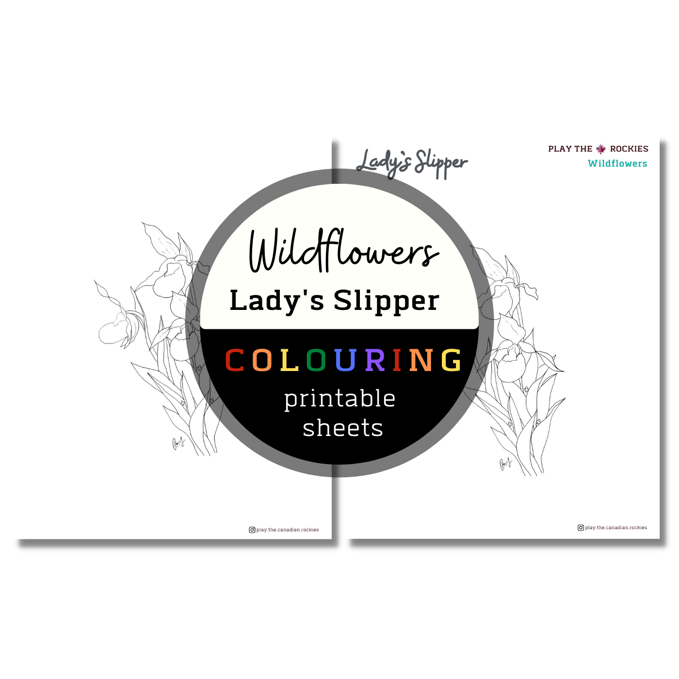 Wildflower: Lady Slipper Colouring Sheets ⌲ Printable