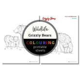 Wildlife: Grizzly Bears Colouring Sheets ⌲ Printable