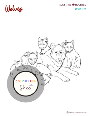 E-book: Colouring Book Play the Canadian Rockies ⌲ Printable