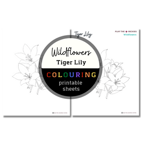 Set of 13 Wildflower Colouring Sheets ⌲ Printable