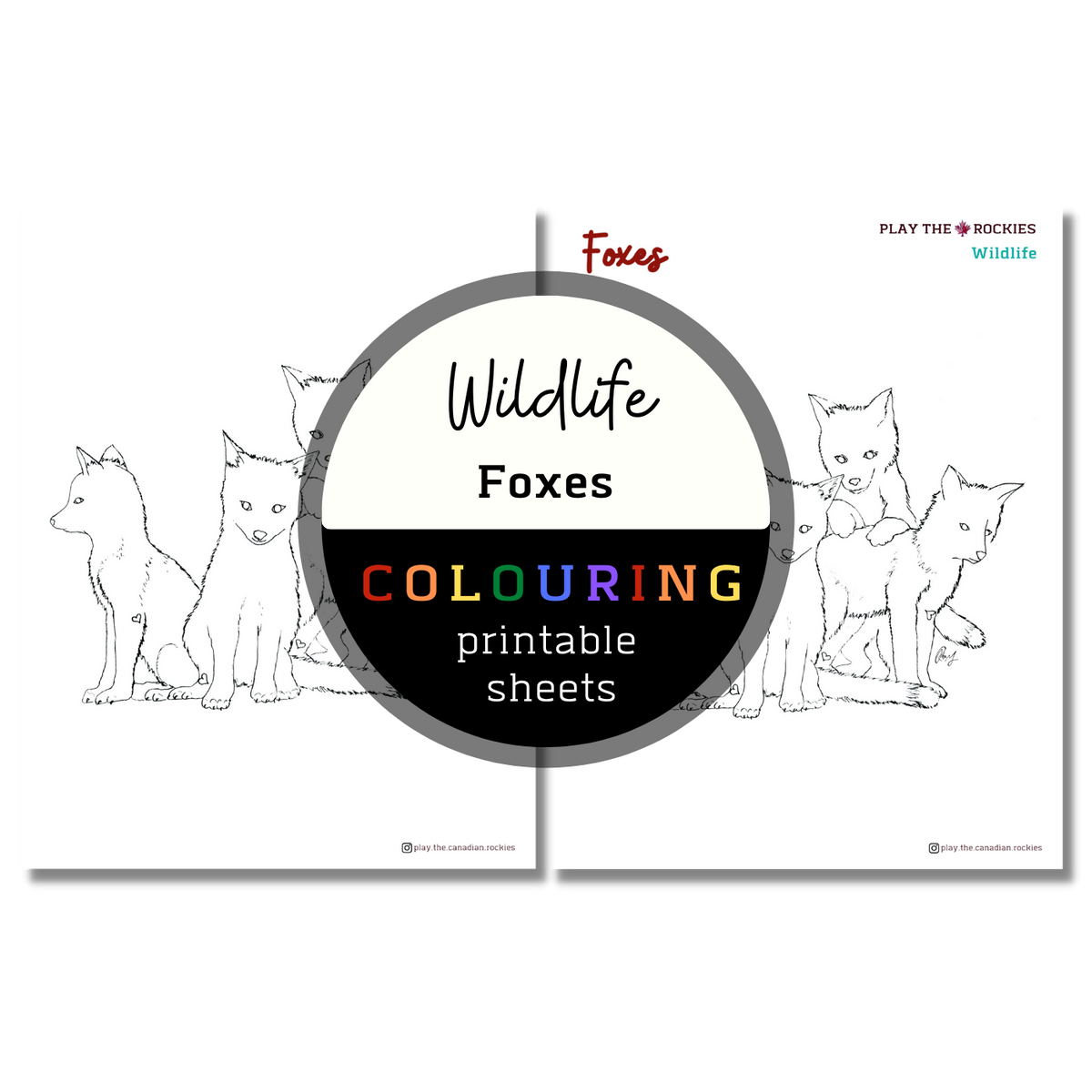 Wildlife: Foxes Colouring Sheets ⌲ Printable