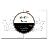 Wildlife: Foxes Colouring Sheets ⌲ Printable