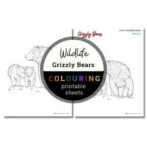 Set of 15 Wildlife Colouring Sheets ⌲ Printable