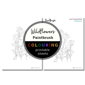 Set of 13 Wildflower Colouring Sheets ⌲ Printable