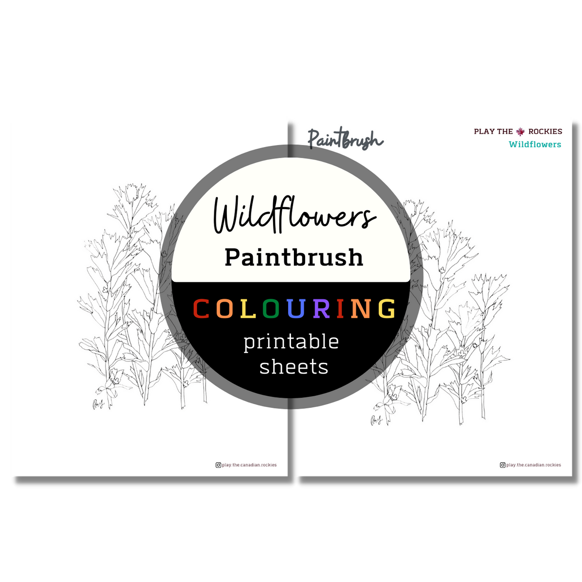 Wildflower: Paintbrush Colouring Sheets ⌲ Printable