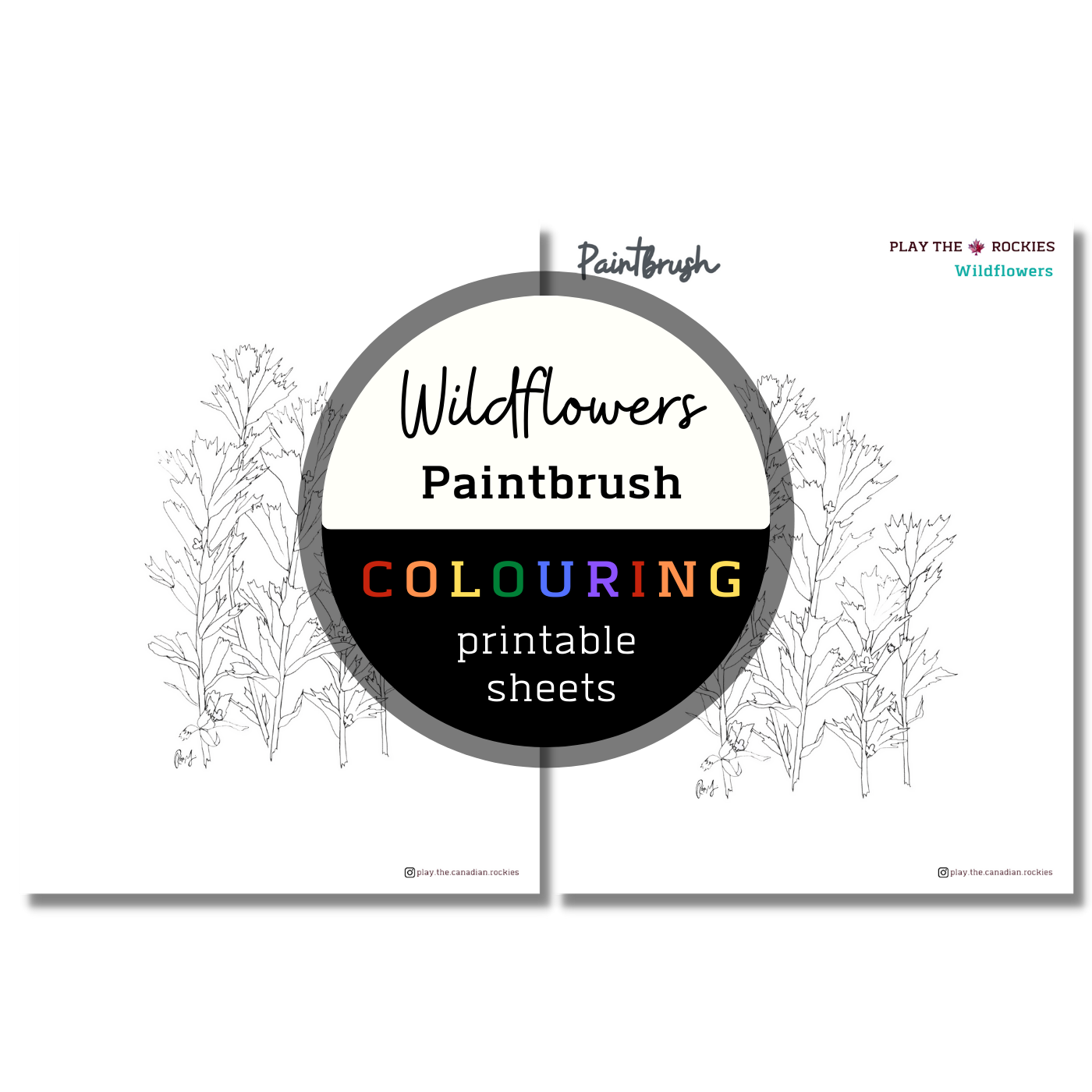 Wildflower: Paintbrush Colouring Sheets ⌲ Printable