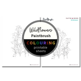 Wildflower: Paintbrush Colouring Sheets ⌲ Printable