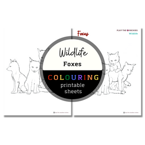 Set of 15 Wildlife Colouring Sheets ⌲ Printable