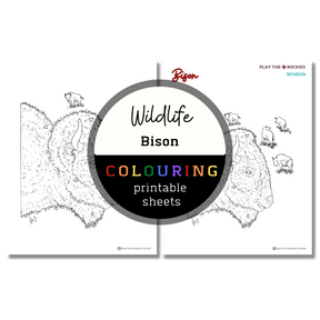 Set of 15 Wildlife Colouring Sheets ⌲ Printable