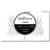 Wildflower: Lupins Colouring Sheets ⌲ Printable