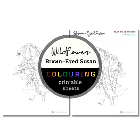 Set of 13 Wildflower Colouring Sheets ⌲ Printable