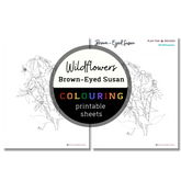 Wildflower: Brown Eyed Susan Colouring Sheets ⌲ Printable