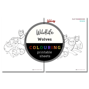 Set of 15 Wildlife Colouring Sheets ⌲ Printable