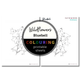 Wildflower: Blue Bells Colouring Sheets ⌲ Printable