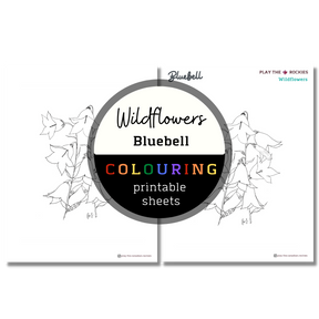 Set of 13 Wildflower Colouring Sheets ⌲ Printable