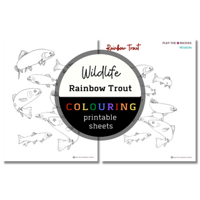 Set of 15 Wildlife Colouring Sheets ⌲ Printable