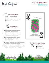 10 Moss Campion - Wildflowers - Information Sheet