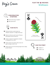 13 King - King's Crown - Wildflowers - Information Sheet