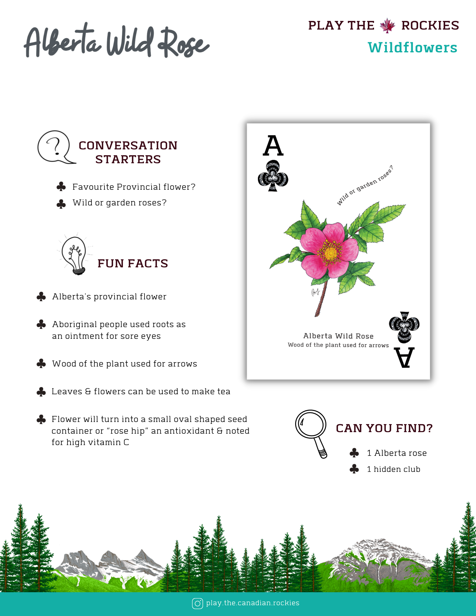 1 Ace - Alberta Wild Rose - Wildflowers - Information Sheet