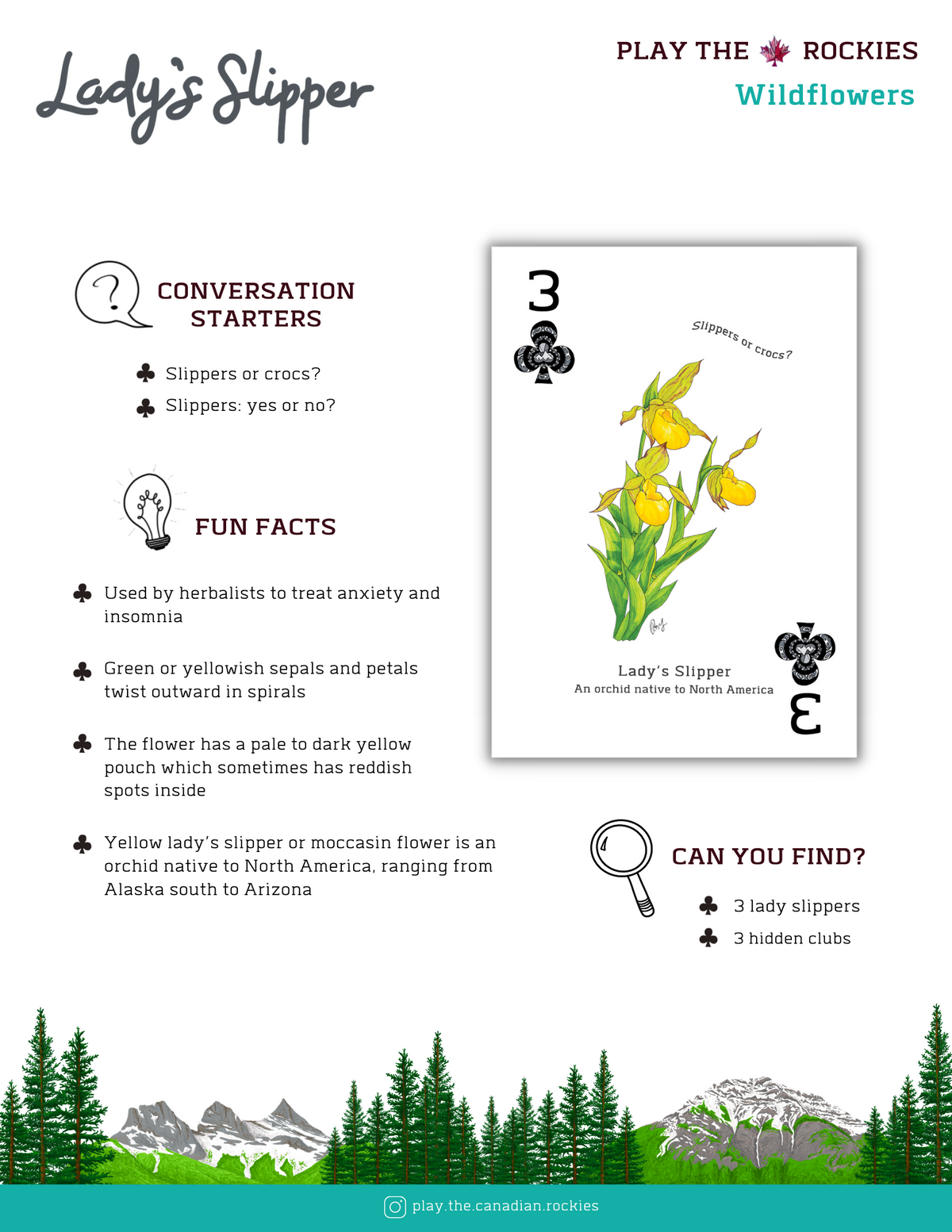 3 Lady's Slipper - Wildflowers - Information Sheet