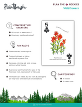 5 Paint Brush - Wildflowers - Information Sheet